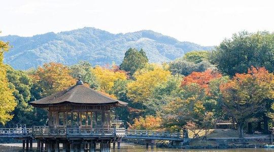 Osaka's 4 Major Attractions: Lake Biwa & La Collina Day Trip