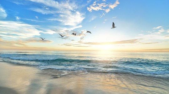 Cruise Ship Shore Excursion - Private Great Ocean Road Express Tour (9 Hour)