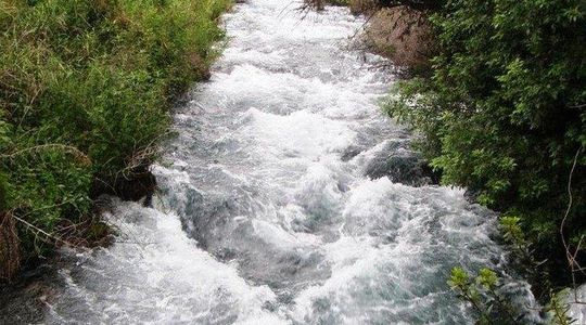 Private tour of the Israeli Far North - Tel Dan, Banias Reserve & Waterfall