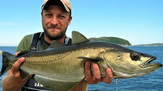 Sea fishing Donegal coast. Donegal. Private guided.