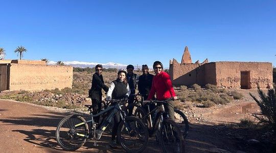 Guided tour of the Palmerie de Skoura by electric mountain bike