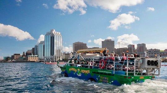 Halifax Harbour Hopper Tour
