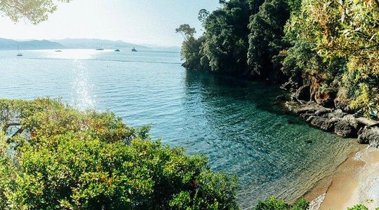 Snorkel Tour in Paraggi Bay
