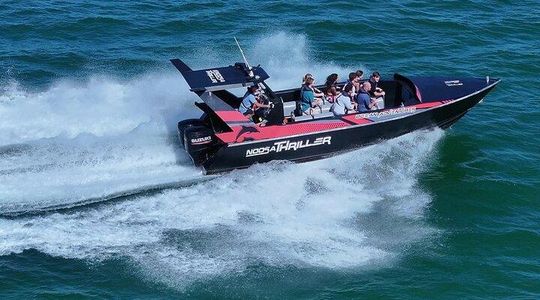 Noosa Ocean Adventures: Dolphins