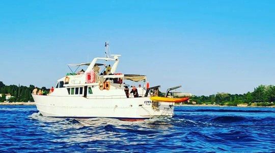 Sunset Cruise with Dolphin Spotting from Umag with Welcome Drink