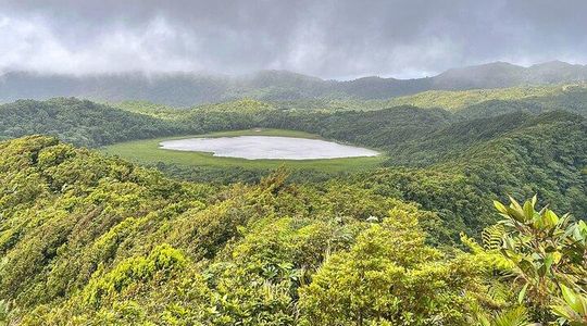 Grand Etang Lake, Annandale WaterFalls & Fort Frederick Grenada
