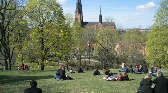 Swedish Lifestyle and Private Walking Tour of Uppsala