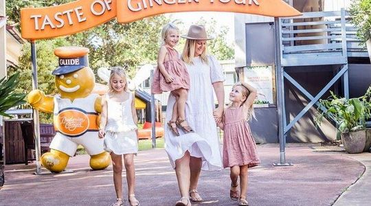 Ginger Factory and Nutworks Return Bus Transfer: Sunshine Coast