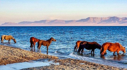 Private 11 Days Trip at Kyrgyzstan, Exclusive Guide and Driver