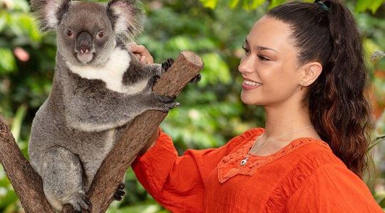 Kuranda Wildlife Experience Deluxe Multi Attraction Pass
