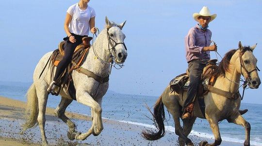 Horseback Riding in Sayulita Through Jungle Trails to the Beach