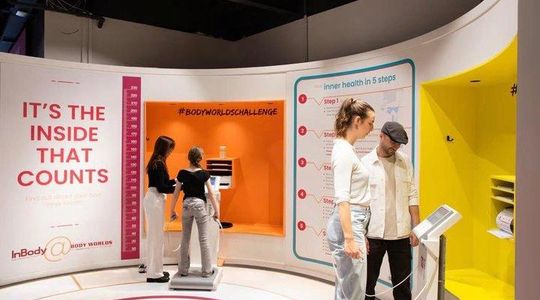 Skip the Line Body Worlds Amsterdam Ticket Pass