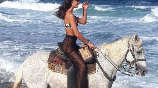 Aruba Sunrise Horse ride with hotel transfer