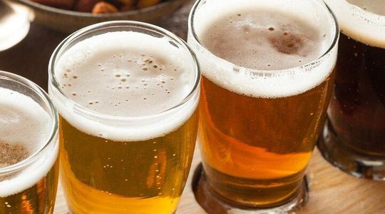 Craft Beer Tour: Try 8 Czech Beers, Brewery and Beer Garden
