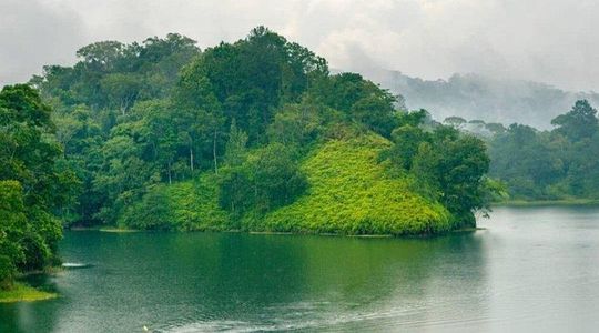 Private hiking tour: Panacam National Park and Yure River