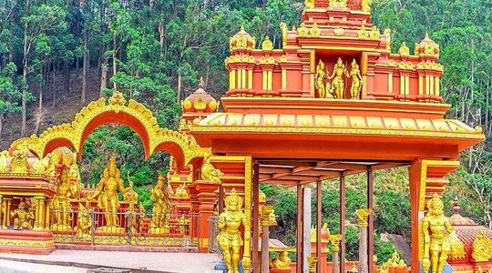 6-Day Tour of Seetha Amman Captive Life