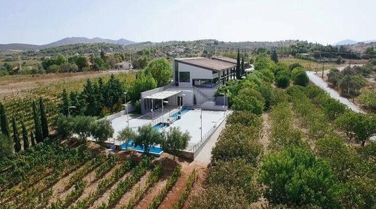 Private Wine Tour Athens Visit Experience