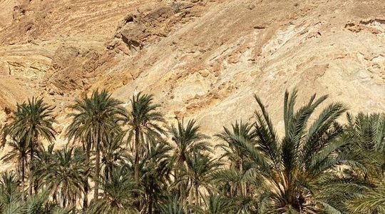 Circuit the south of Tunisia in 2 days Sahara Explorer