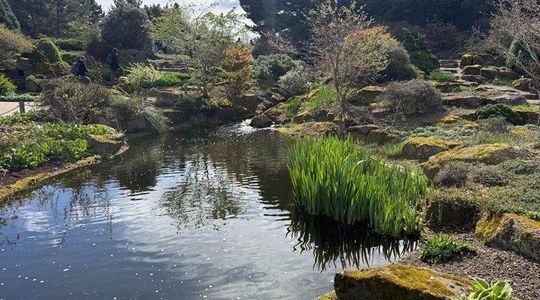 Private Tour of the Royal Botanic Garden Edinburgh