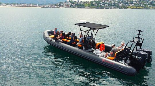 Discover the essentials of the Basque coast by boat