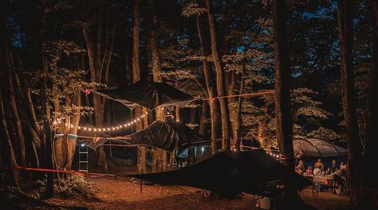 Tree Tents Experience - E-bike Tour