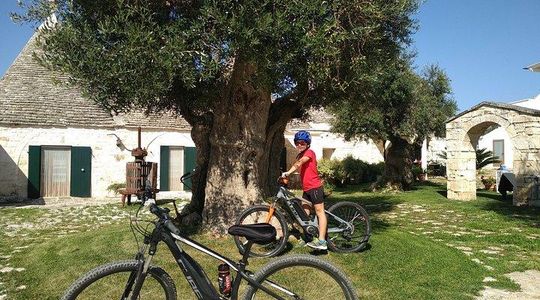 Family ebike tour in Valle d'Itria and tasting of typical products