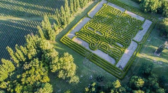 San Rafael: 4-day trip, Borges, wines, and literary workshop