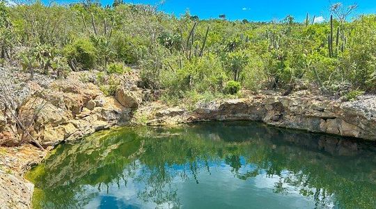 Full Day Private Tour in Bahía de las Águilas and Río el Mulito