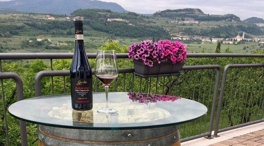 Amarone Wine Tasting in Valpolicella