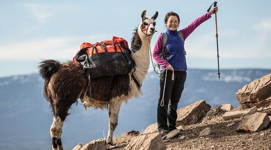 2-Hour Llama Hike
