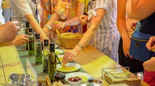 Private Olive Oil Tour and Tasting with Lunch from Itea Port