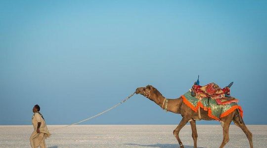 Bhuj to White Rann of Kutch