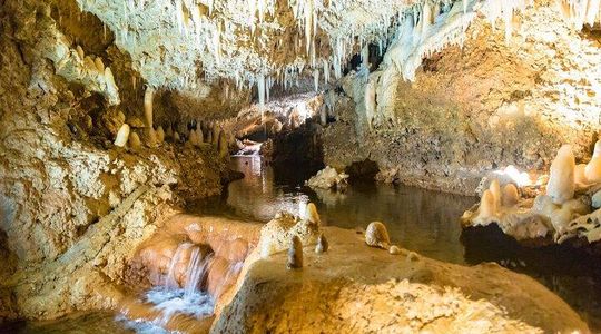 Harrison's Cave Tour in Barbados