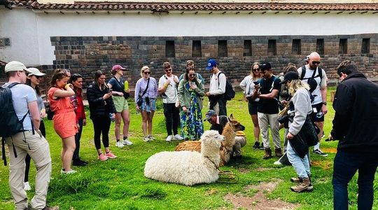 Cusco City Walking tour: Historia, Tradition, Culture