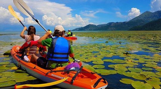 Kayak Guided Tour Skadar lake - Adventure in National park