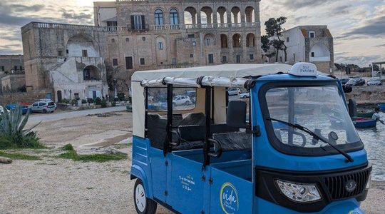 Electric tuk tuk excursion in Polignano a mare