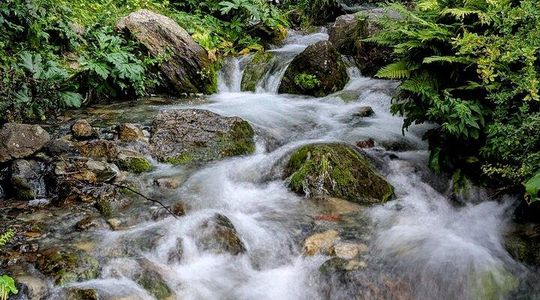 Private Eco-Friendly Tour to Kazbegi and Gudauri
