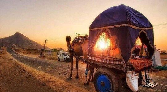 Pushkar Cultural Day Trip from Jaipur