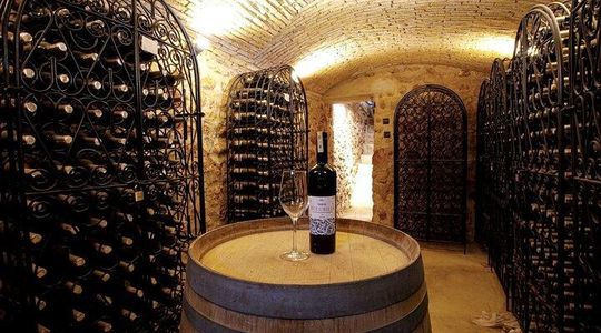 Full Day Boutique Winery and Wine Tasting Tour from Fez to Meknes