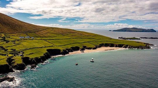 Dingle Dolphin Blasket Adventures