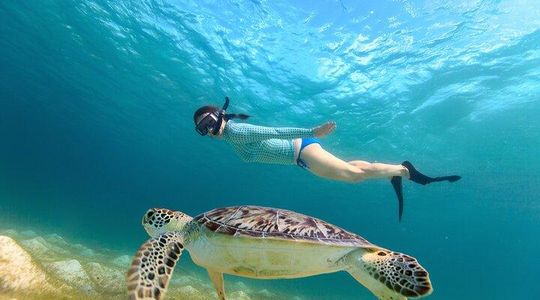 Abu Dabbab Beach Full Day Trip with Turtles