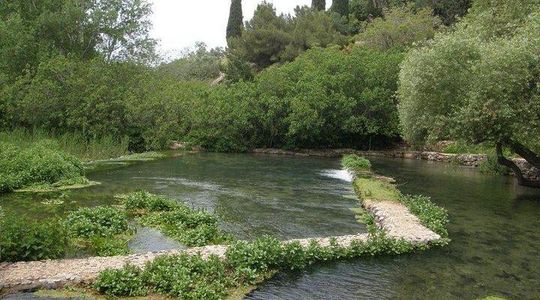 Tel Dan and Baniyas National Parks Private Tour