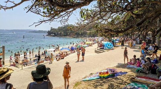 Sydney Shores and Suburbs- Watsons Bay and Bondi Beach Tour