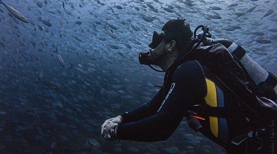 Scuba Diving