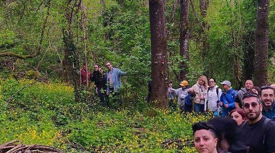Easy Hike Near Rome and Discover the Artistic Forest and Villages