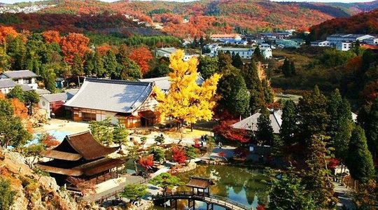 Tiger Creek Mountain, Eihoji Temple & Korankei Tour: From Nagoya