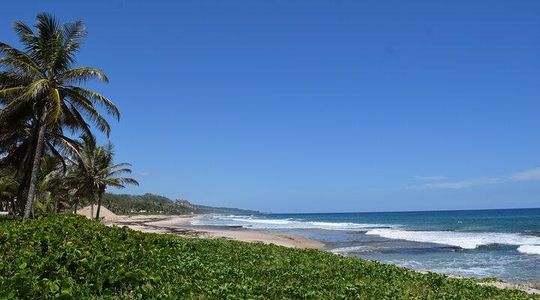 Shore Excursion Explore & Discover Barbados Land & Sea Tour