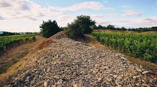 Full-Day Custom Tokaj Wine Tour