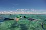Snorkeling with Caribbean fish and private cenote exploration
