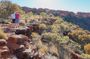 Kings Canyon Day Trip from Ayers Rock (Uluru)